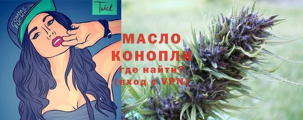 гашик Майский