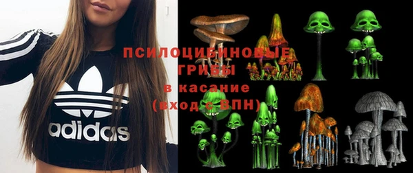 тгк Волгодонск