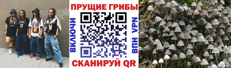 цены наркотик  Заозёрный  блэк спрут ССЫЛКА  даркнет состав  Галлюциногенные грибы прущие грибы 